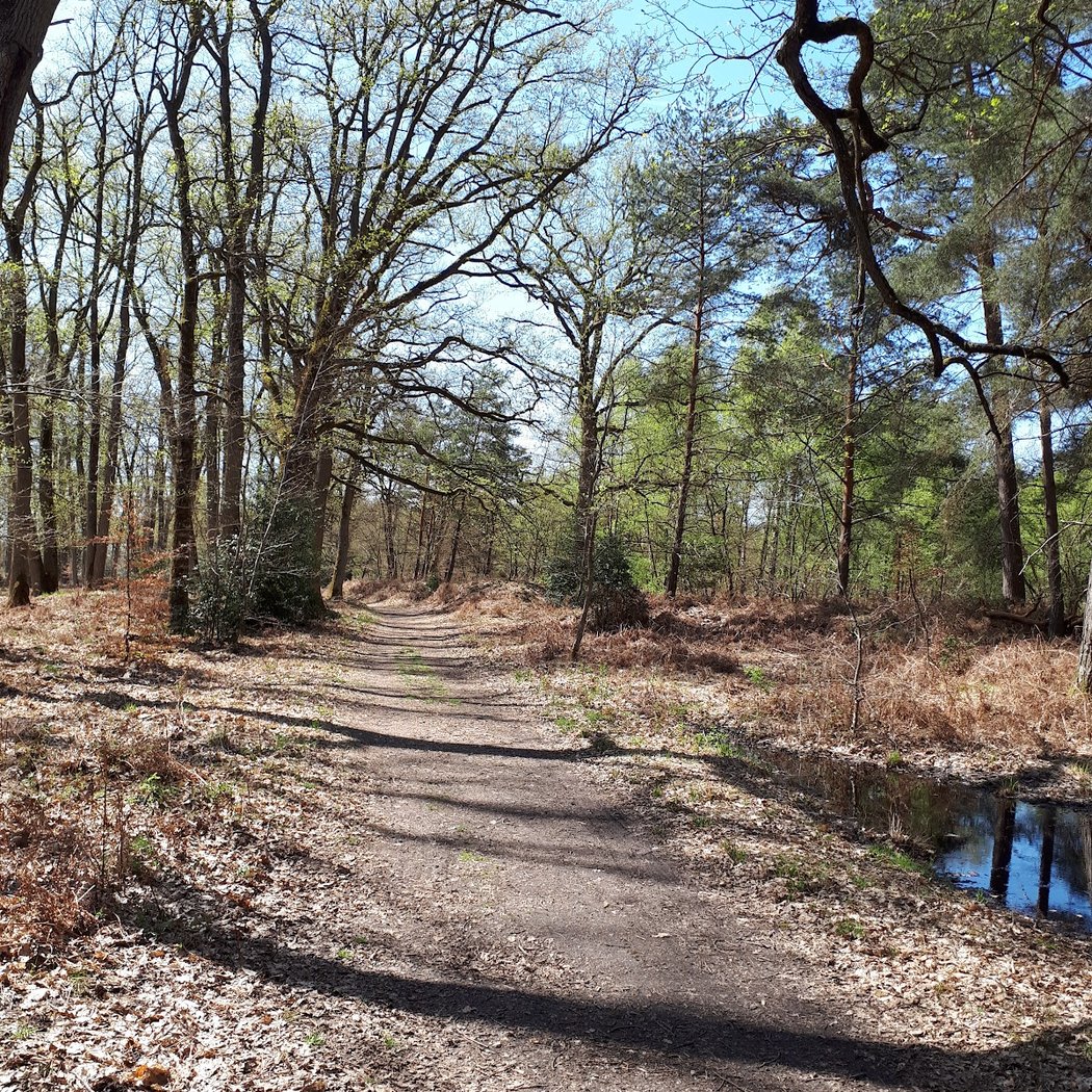 Gorge de Claire Bois 1